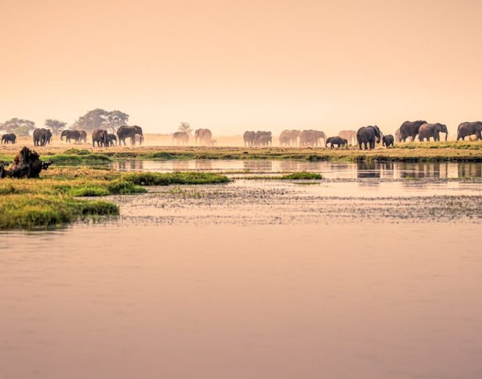 Chobe-National-Park-GettyImages-