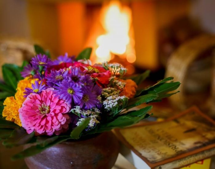 Country-Lodge flower