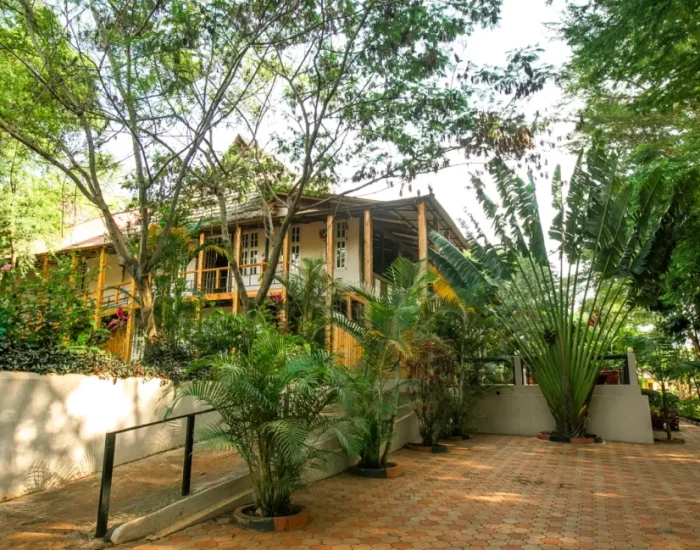 Eileens Trees Inn Gallery