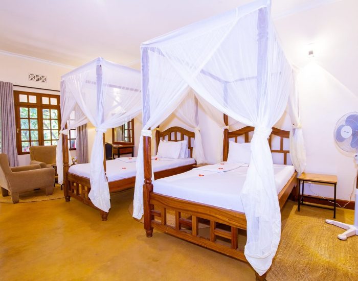 Eileen’s Trees Inn double room