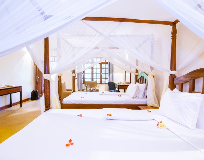 Eileen’s Trees Inn rooms