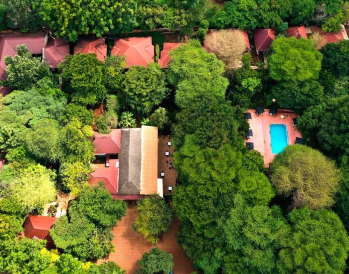 Eileen’s Trees Inn view