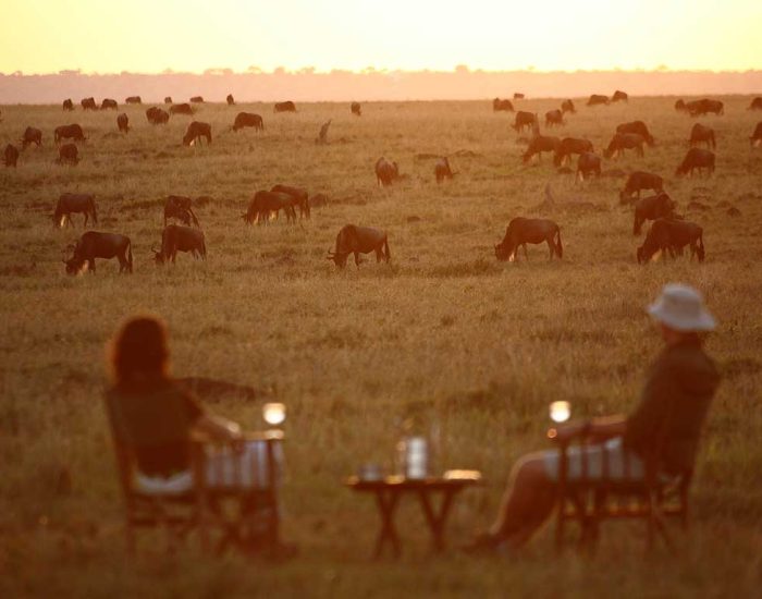 Elephant-Pepper-Camp---Sundowners-2 - KILICLIMB AFRICA SAFARIS