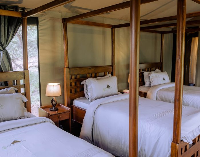 Embalakai Ngorongoro Camp room