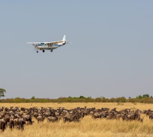 Fly-in-Safari-Tanzania