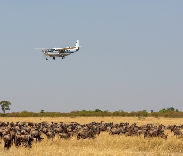 Fly-in-Safari-Tanzania
