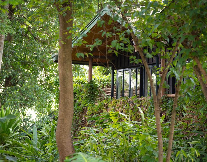 Gibbs-Farm-cottage-garden-views