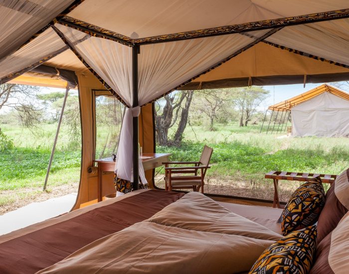 Gnu Camp ndutu