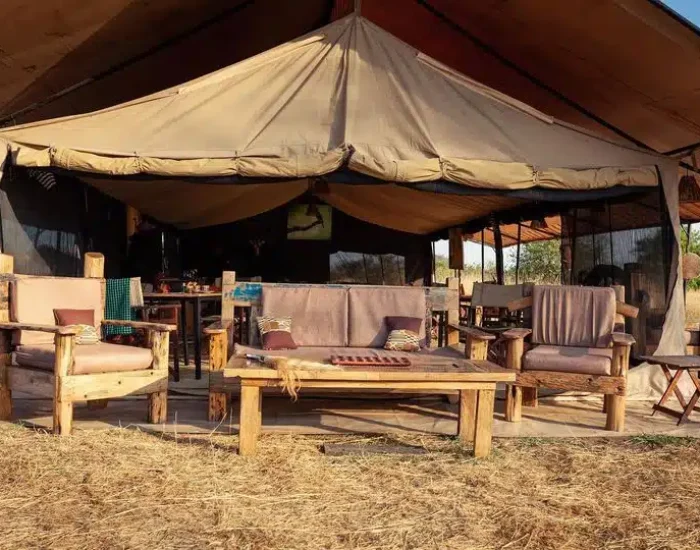 Gnu-Ndutu-Camp-6.j