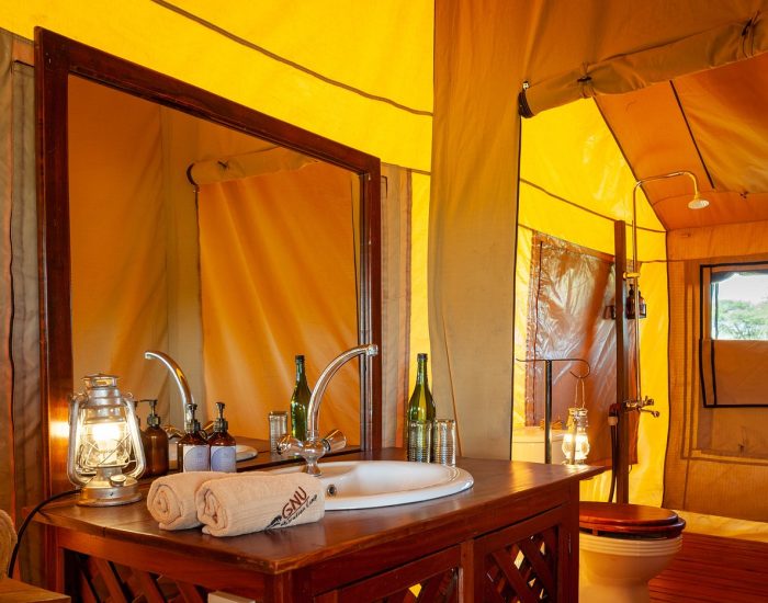 Gnu Ndutu Camp room view