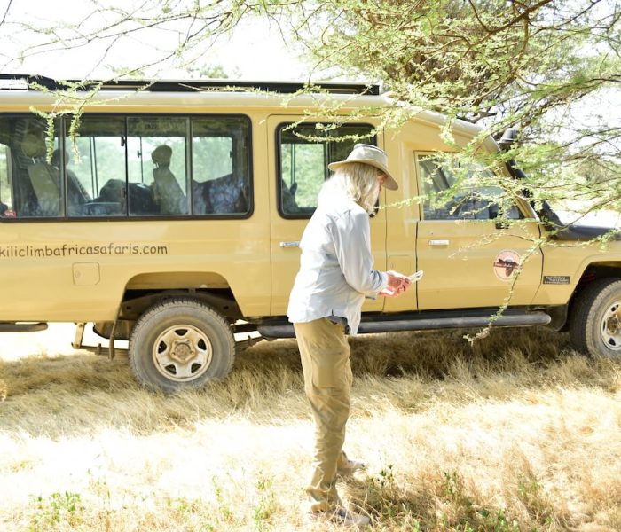 Honeymoon safari in Tanzania