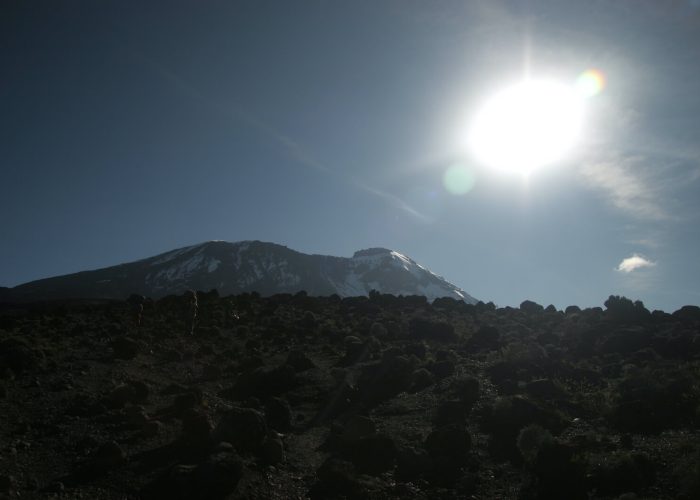 KILIMANJARO TREKKING DAY TRIP