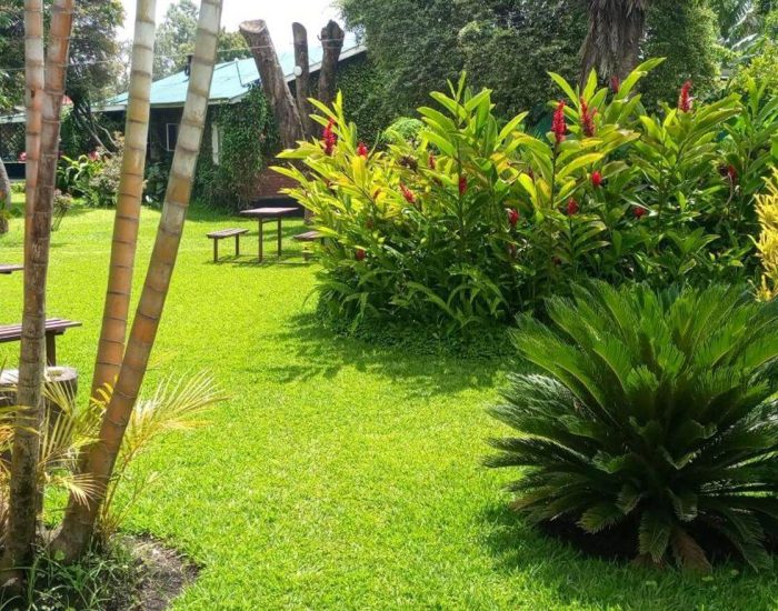 Karibu Heritage House garden