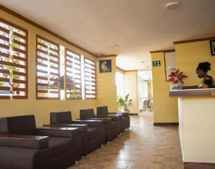 Kilimanjaro Snow reception