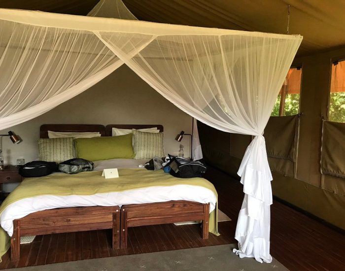 Kusini Camp serengeti