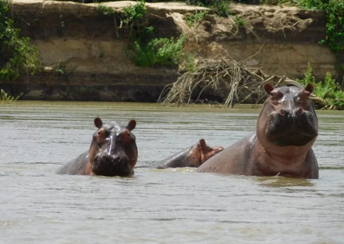 Lake Manyara National Park