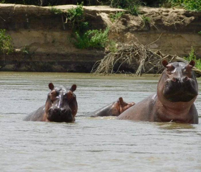 Lake Manyara National Park