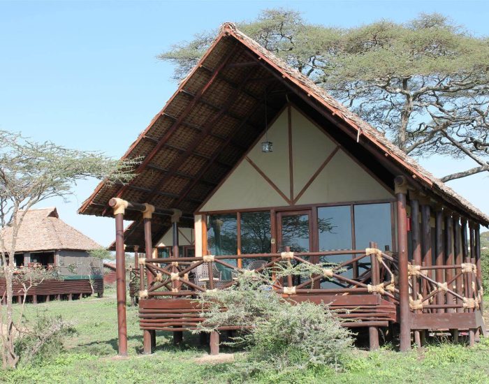 Lake Ndutu Luxury Lodge