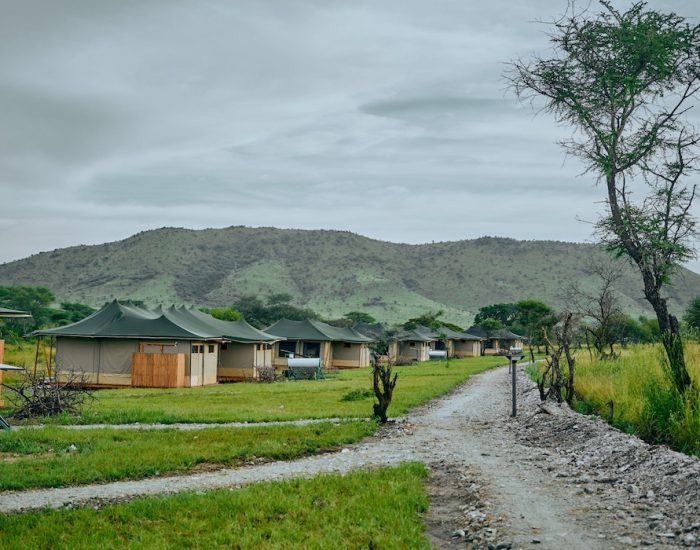 Land Of Nature Camps & Lodges – Serengeti
