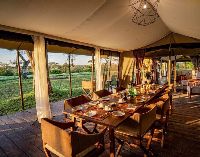 Lemala-Mara-Ndutu-kiliclimb Safaris