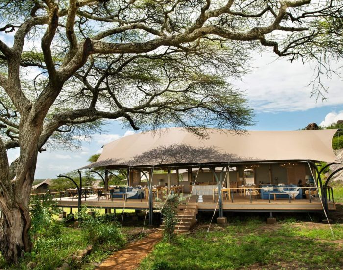 Lemala-Nanyukie-5- KILICLIMB AFRICA SAFARIS