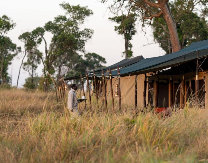 Lemala Ndutu Camp
