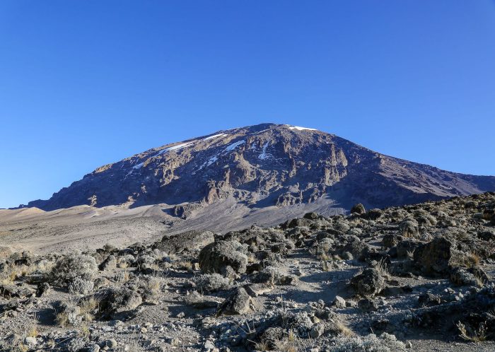 Lemosho Climbing kilimanjaro