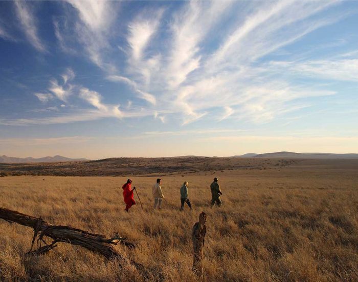 Lewa-Safari-Camp---Bush-Walk - KILICLIMB AFRICA SAFARIS