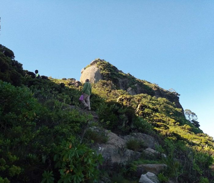 Longido climbing