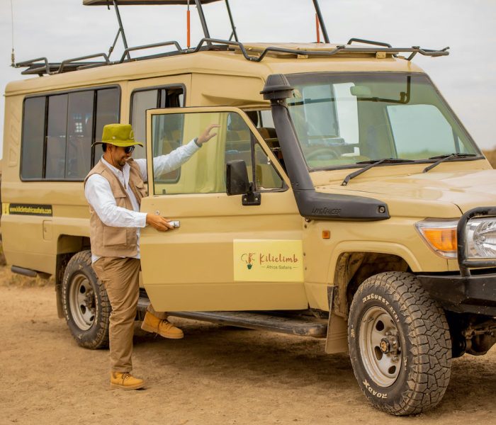 Luxury Safaris