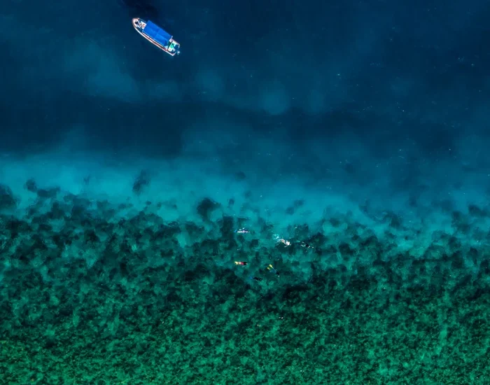 MANTA PEMBAA
