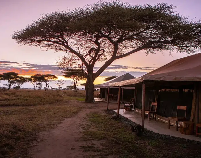 MAWE_CAMP_OUTDOOR