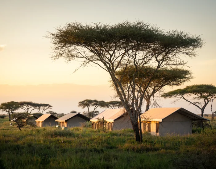 MaweCamp-Outdoor-tents