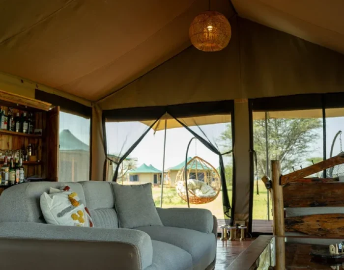 Moyo Tented Camp Central Serengeti - 08 - KILICLIMB AFRICA SAFARIS