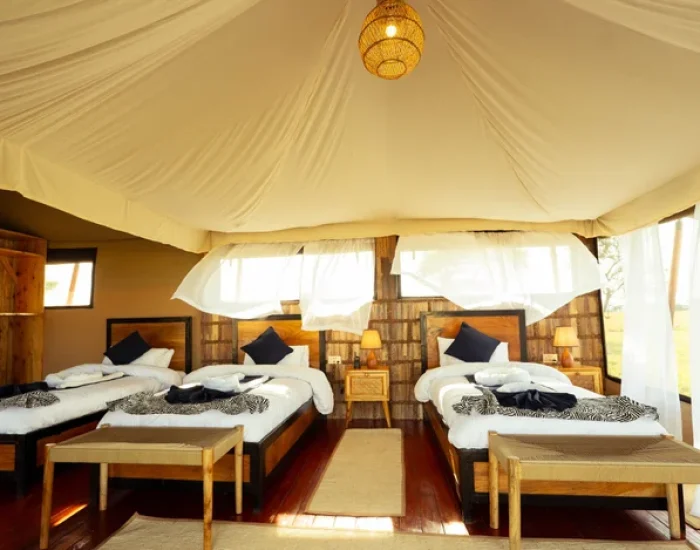 Moyo Tented Camp Central Serengeti - KILICLIMB AFRICA SAFARIS