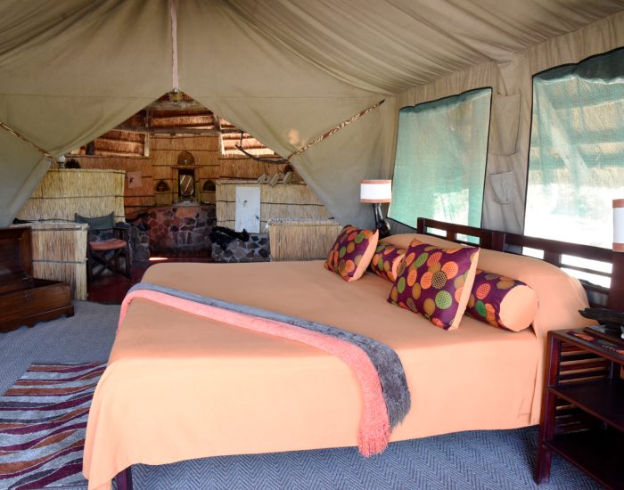Mwagusi Safari Camp 04 - Kiliclimb Africa Safaris