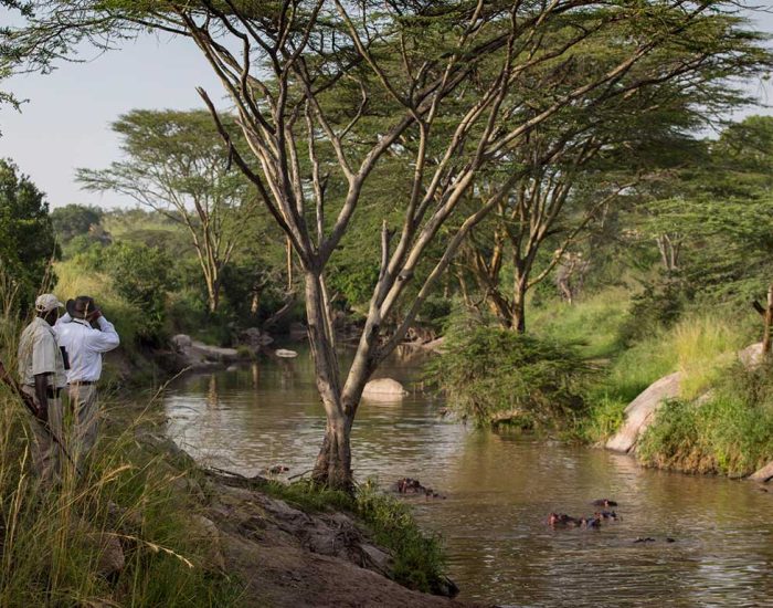 Niels-van-Gijn_Migration_6R1A9127 - KILICLIMB AFRICA SAFARIS