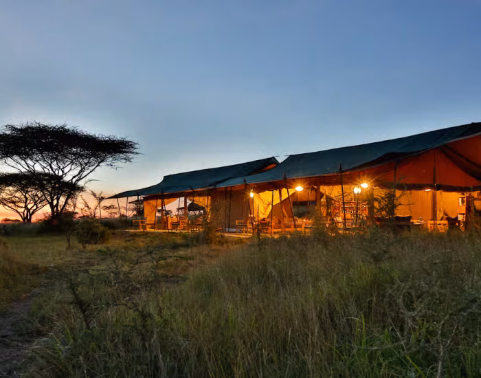 Nyikani-Central Serengeti 28 - KILICLIMB AFRICA SAFARIS