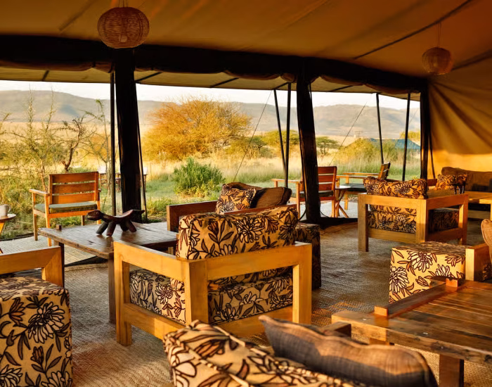 Nyikani-Central Serengeti 48 - KILICLIMB AFRICA SAFARIS