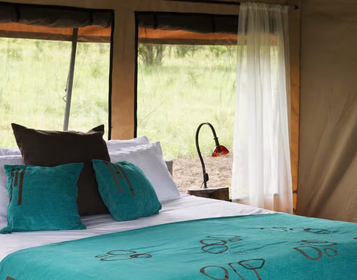 Nyikani-Central Serengeti 67 - KILICLIMB AFRICA SAFARIS