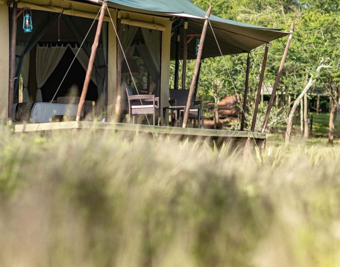 OLESERAI_MORU-SAFARIS KILI