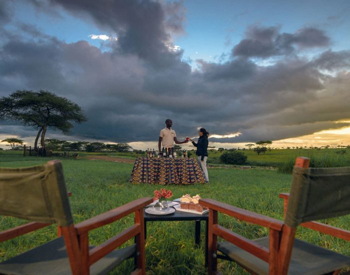 OLESERAI_TURNER- AFRICA SAFARI