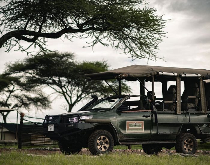 OLESERAI_TURNER-KILI JEEP