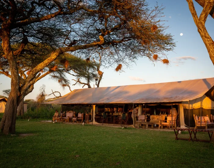 Outdoor-GNU-camp-Ndutu2025-