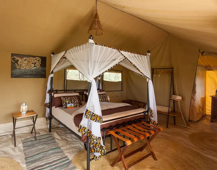 ROOMS-GNU-MIGRATION-4 mara