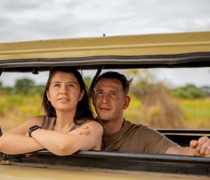 Romantic safari