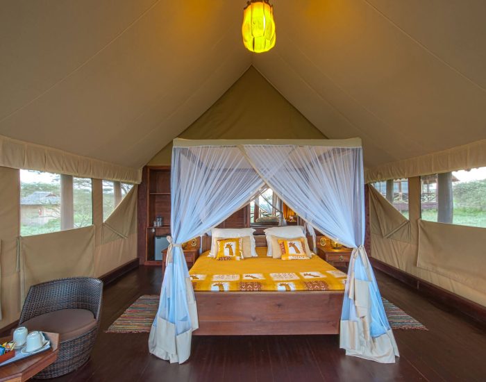 Room_Double Lake Ndutu Luxury Tented Lodge