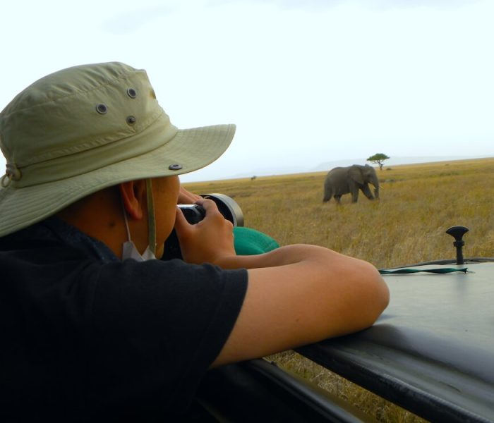 SERENGETI SAFARI