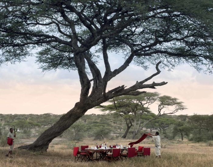 Serengeti-Under-Canvas-bush-dining-