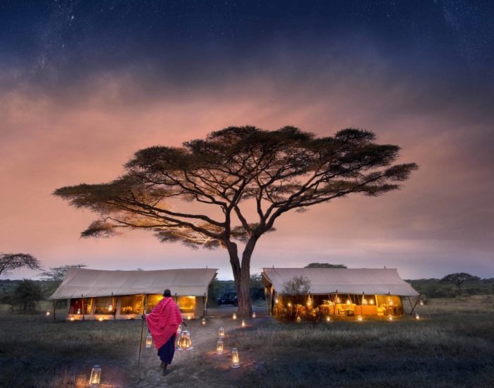 Serengeti-Under-Canvas-starry-nights-